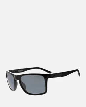 Classics Polarized Sunglasses