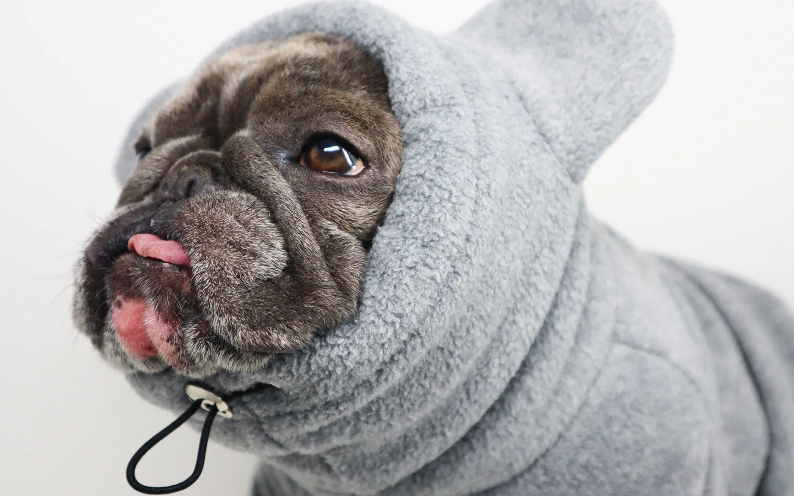 Frenchie Ear Hoodie Bundle Boys version 2 | Frenchiestore