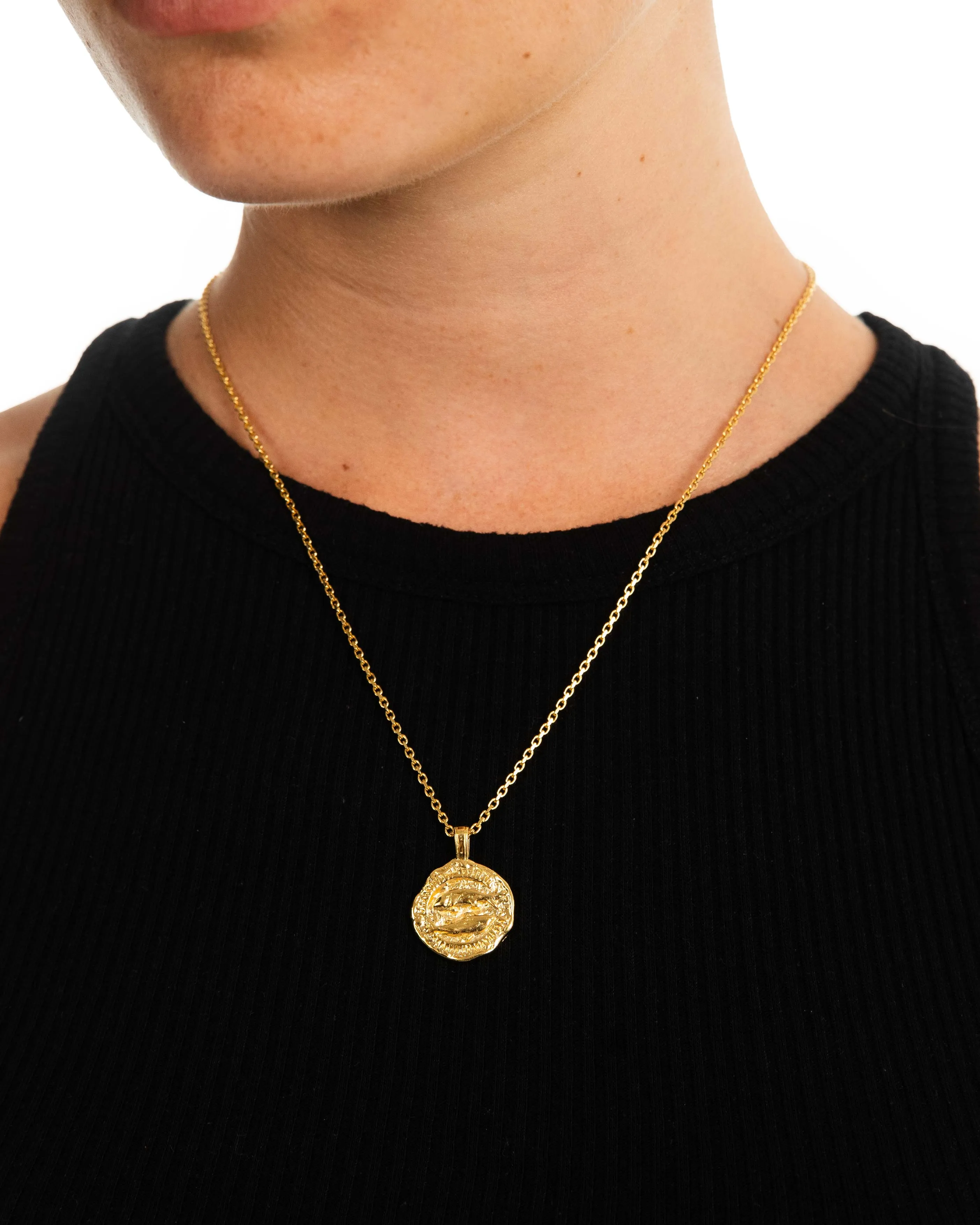 Pisces Necklace Gold